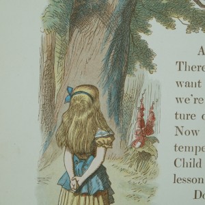 The Tale of the First Editions of The Nursery Alice