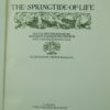 The Springtide of Life by Swinburne: Arthur Rackham 1st edition