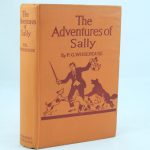 The Adventures of Sally by P G. Wodehouse