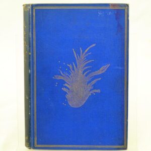 Phantasmagoria by Lewis Carroll 1869