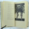 Ted Hughes A Primer of Birds