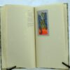 Ted Hughes A Primer of Birds