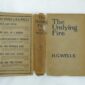 The Undying Fire by H G Wells