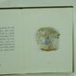 The Tale of Peter Rabbit by Beatrix Potter v g