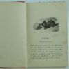 Lewis CArroll Through the looking glass