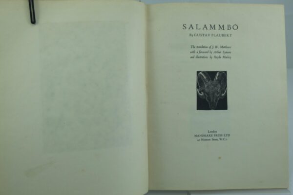 Salammbo by Flaubert Gustav (