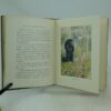 The Pie and the Patty-Pan Beatrix Potter 1st