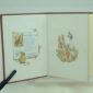 The Tale of Pigling Bland by Beatrix Potter 1st