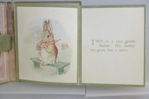 A Fierce Bad Rabbit by Beatrix Potter wallet