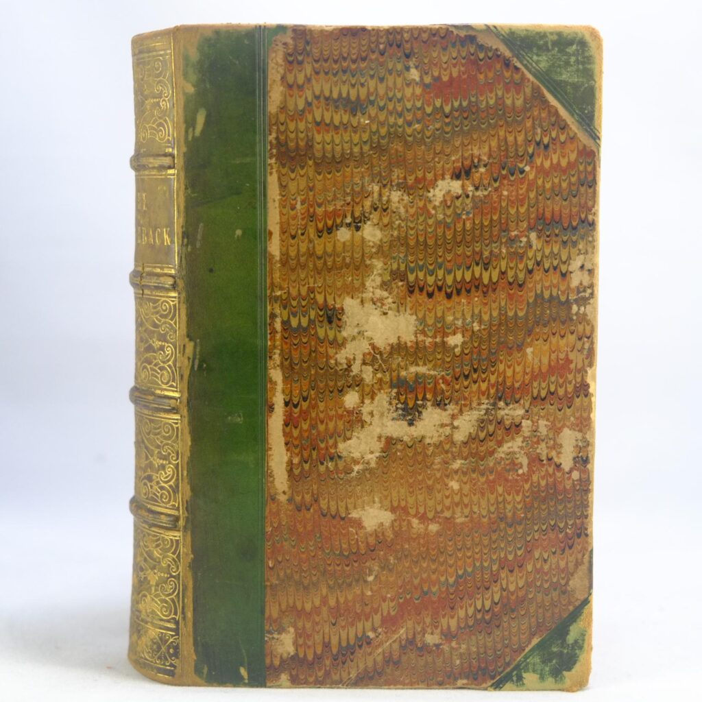 The Hunchback of Notre Dame by Hugo Victor