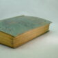 Jules Verne Mistress Branican 1st edition