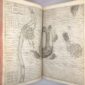 The History of the World by Sir Walter Raleigh 1st edition 1614