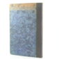 Two Forsyte Interludes by John Galsworthy