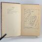 Black Mischief by Evelyn Waugh 1st