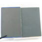 Pair of the Jungle Books by R Kipling 1st